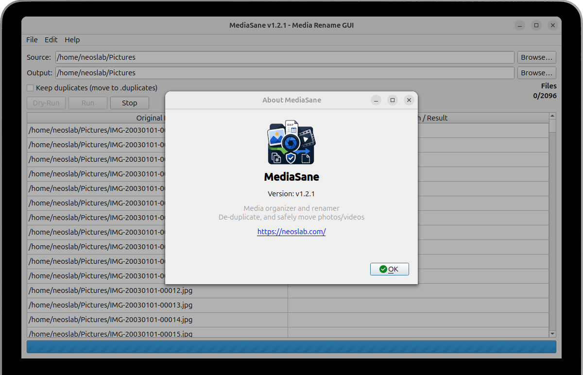 MediaSane GUI Interface showing media rename preview