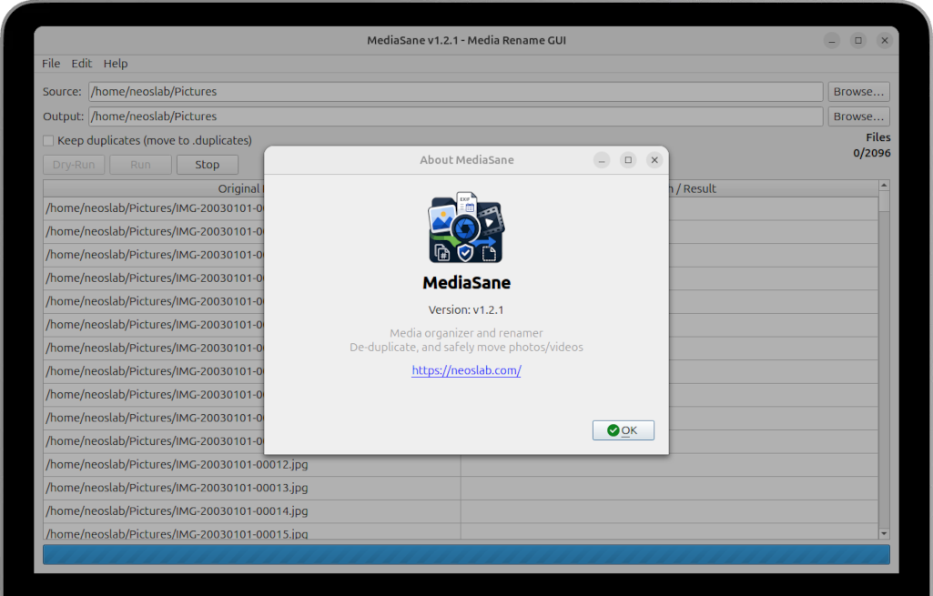 MediaSane GUI Interface showing rename preview