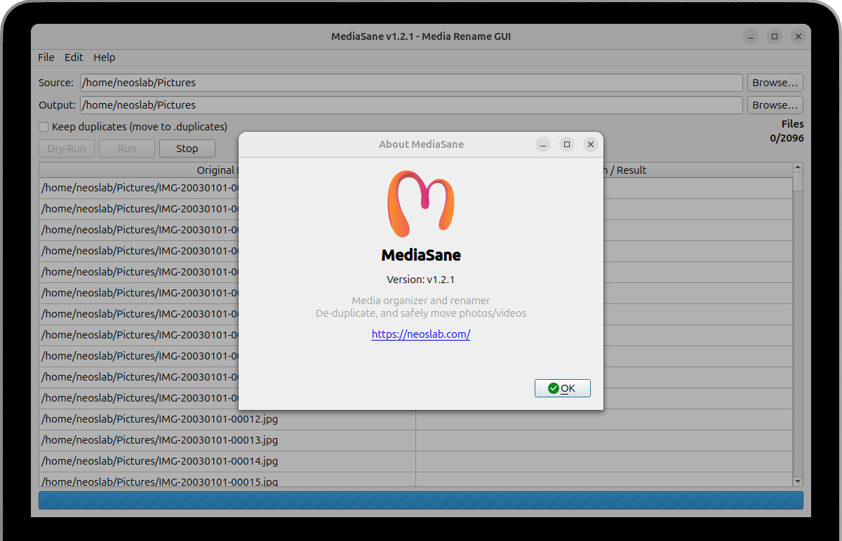 MediaSane GUI Interface showing media rename preview