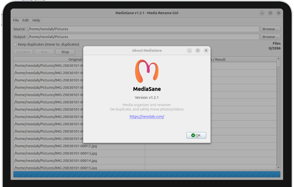 MediaSane GUI Interface showing rename preview